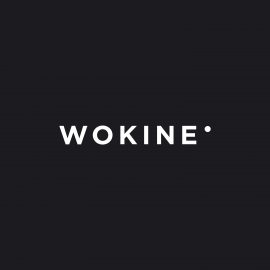 logo Wokine